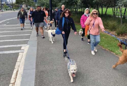 PetWell Walk for PetWellness participants walking dogs